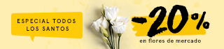 Oferta especial día de Todos los Santos: 20% de descuento en flores de mercado