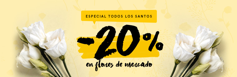 Oferta especial día de Todos los Santos: 20% de descuento en flores de mercado