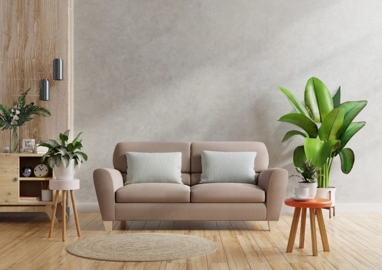 consejos de decoración con plantas de interior